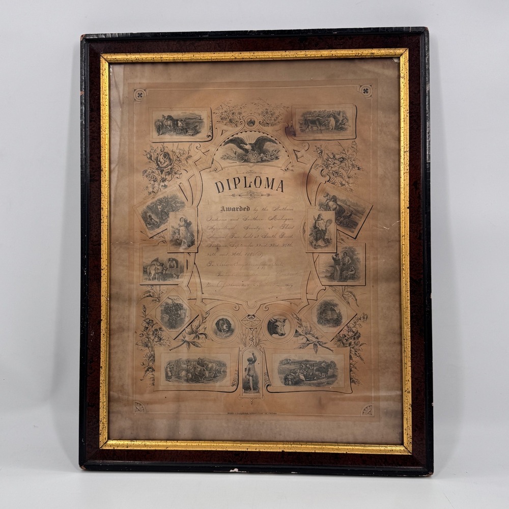Antique 1884 Agricultural Fair Diploma Indiana Southern Michigan Americana
